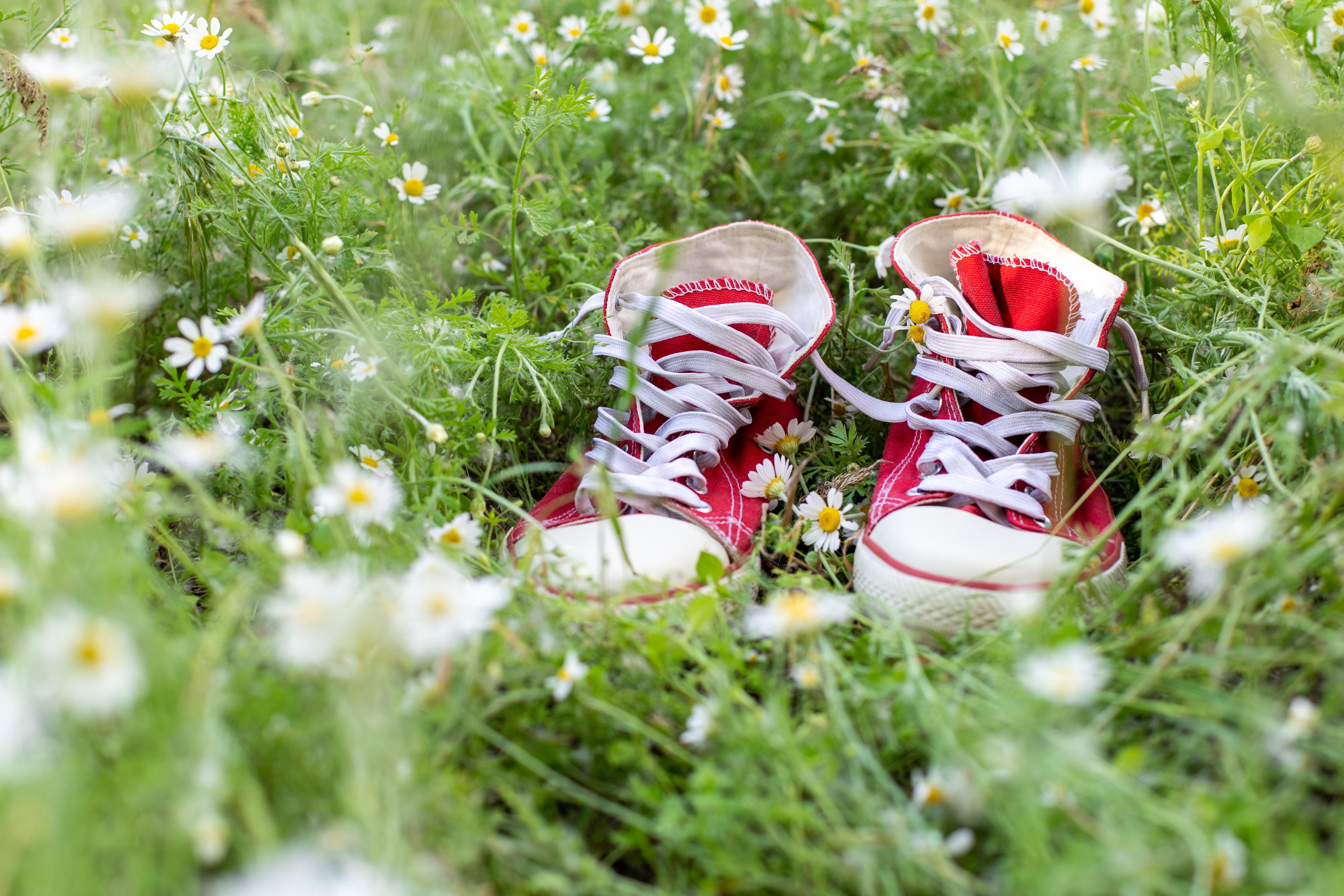 Jak wybrać buty na wiosnę 2026, które pokochają Twoje stopy?